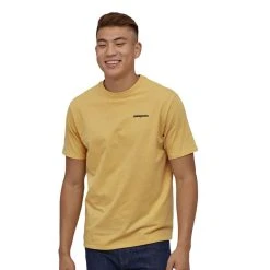 Patagonia P-6 Logo Responsibili-Tee, Herre